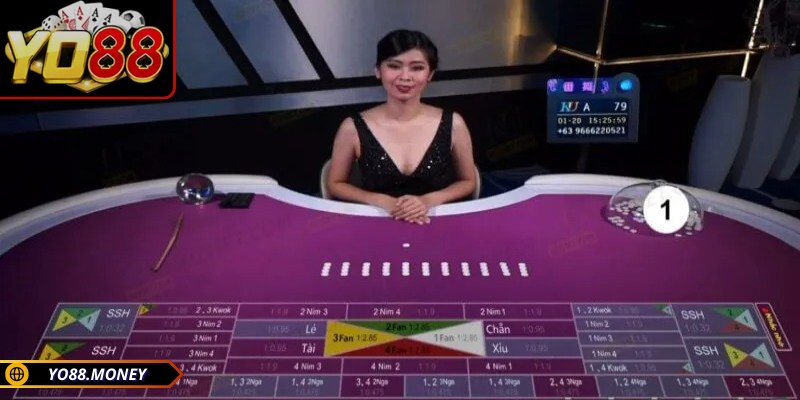 Fantan YO88 - Hướng Dẫn Luật Chơi, Cá Cược Hiệu Quả 2 Fan phổ biến nhất trong Fantan YO88