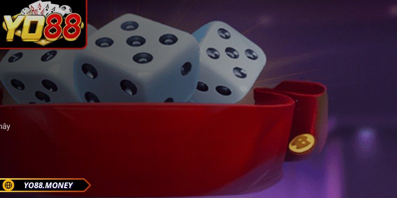 Game Tài Xỉu Đổi Thưởng YO88 - Luật Chơi Và Mẹo Thắng Cược 3 Một số loại cửa cược phổ biến trong trò chơi